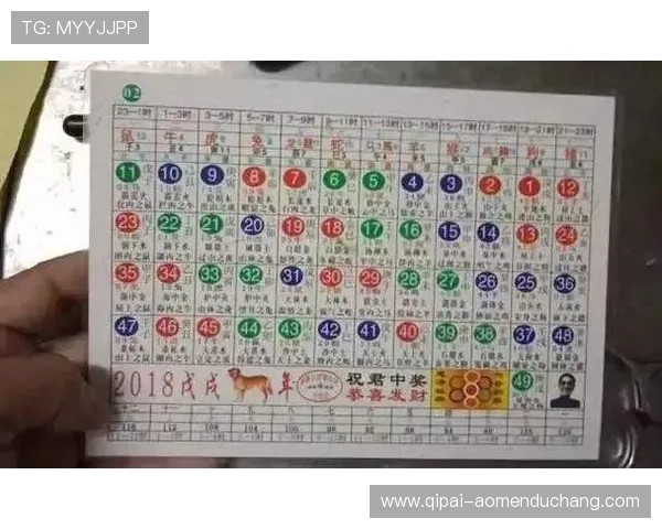 如何利用六合彩数字站进行科学选号，提升中奖概率的实用经验分享