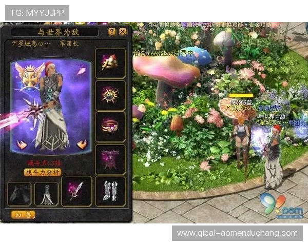 提升游戏乐趣的皇家会员特权详解让你在游戏中领先一步享受尊贵体验